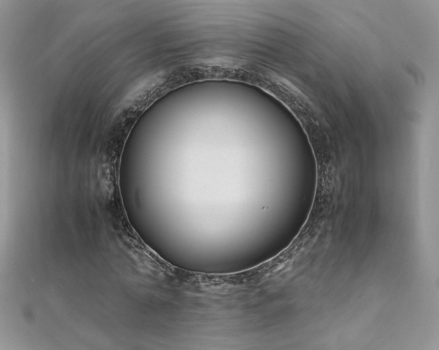 X0000110930774200906181428