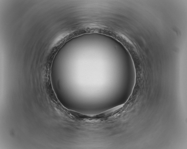 X0000110930775200906181428