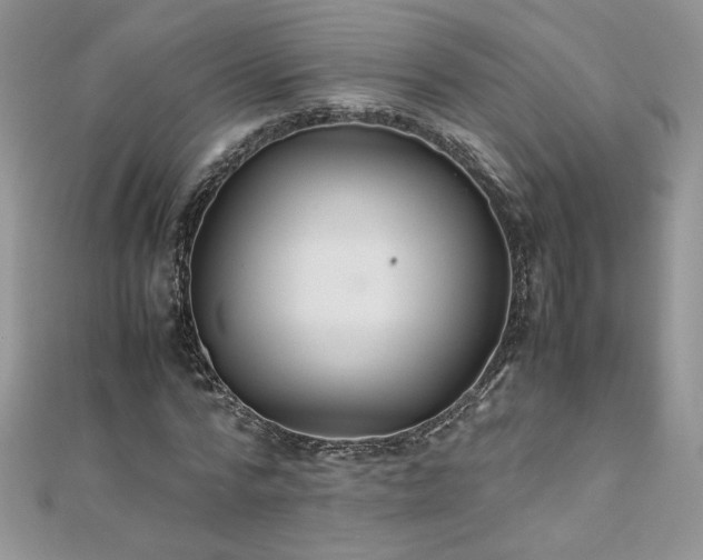 X0000110930776200906181428