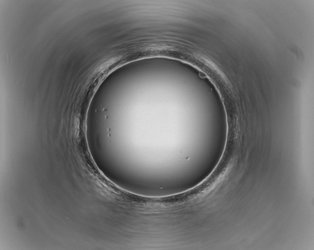 X0000110930777200906181428