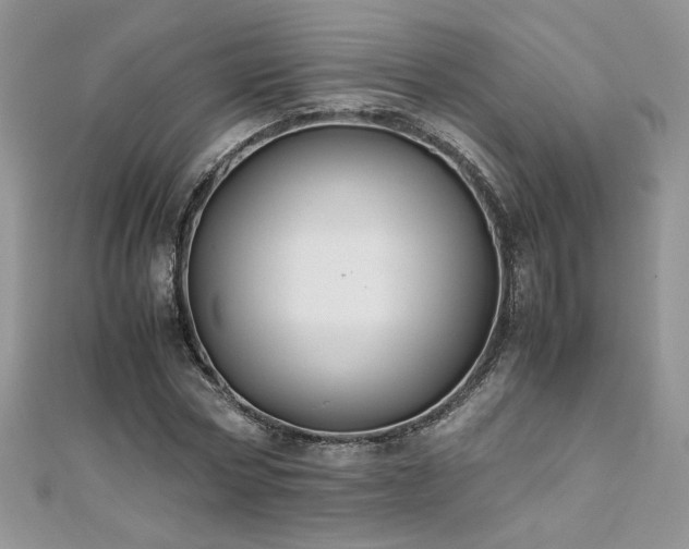 X0000110930778200906181428