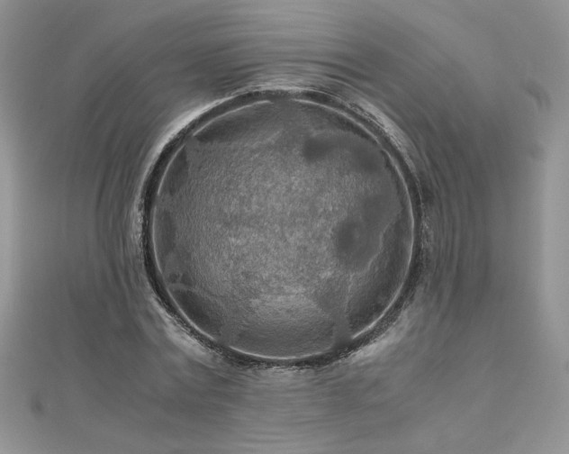 X0000110930779200906181428