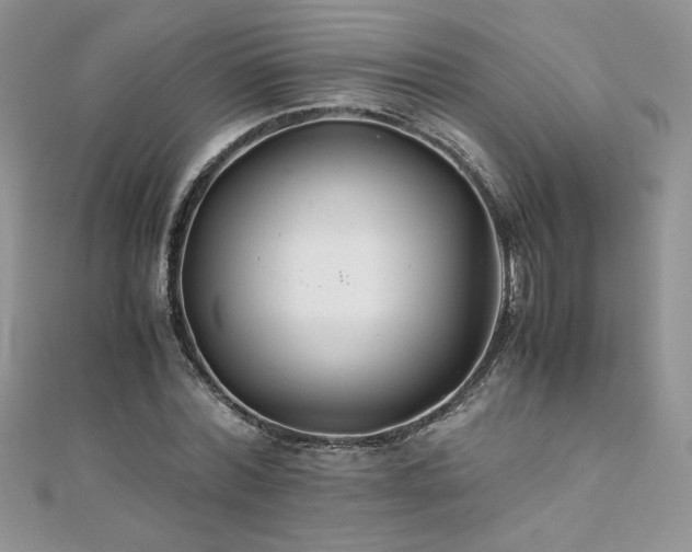 X0000110930780200906181428