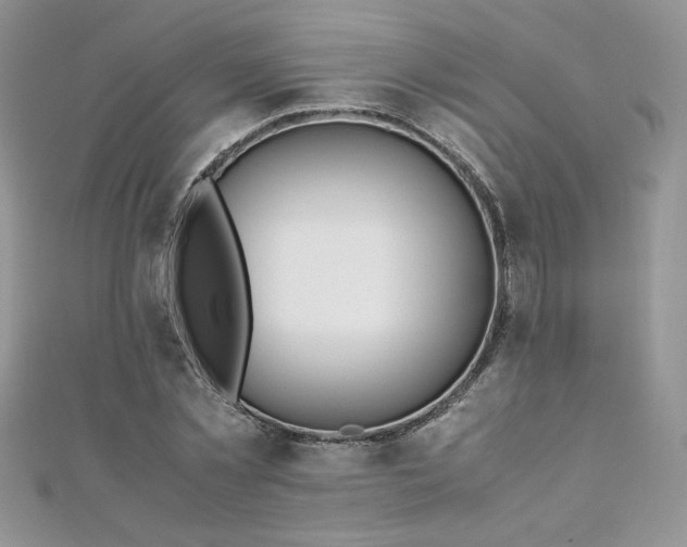 X0000110930781200906181428