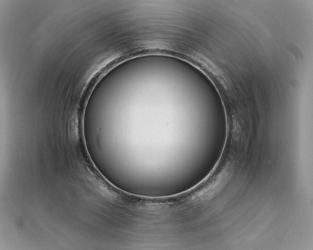 X0000110930782200906181428