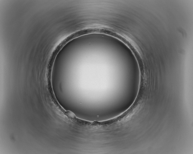 X0000110930783200906181428