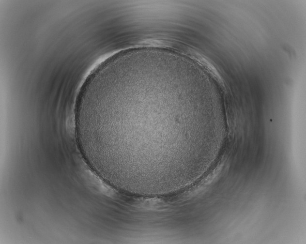 X0000110930784200906181428