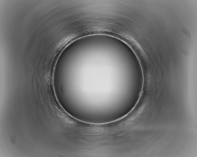 X0000110930785200906181428