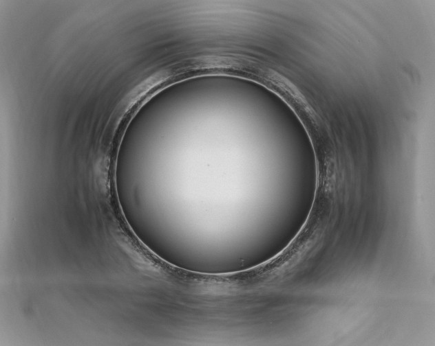 X0000110930786200906181428