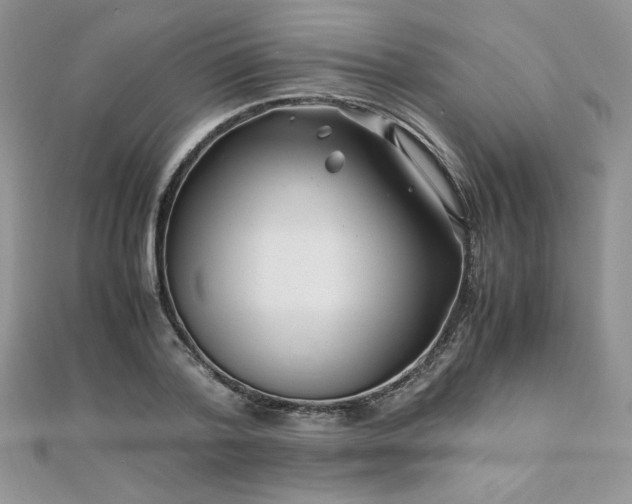 X0000110930788200906181428