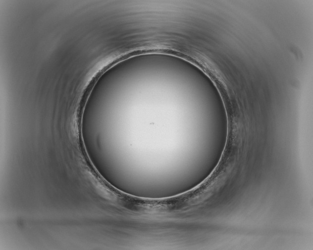 X0000110930789200906181428