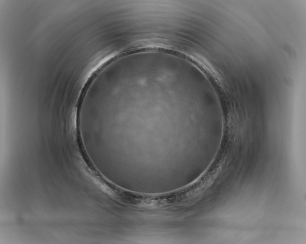 X0000110930790200906181428