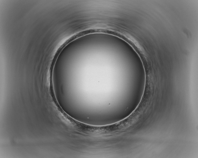 X0000110930791200906181428