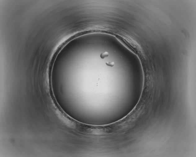 X0000110930792200906181428