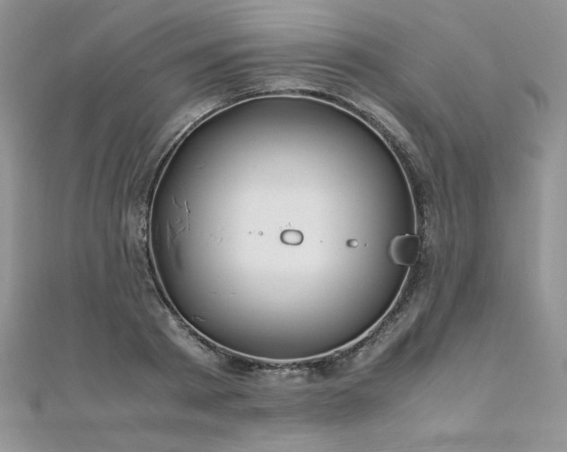 X0000110930793200906181428