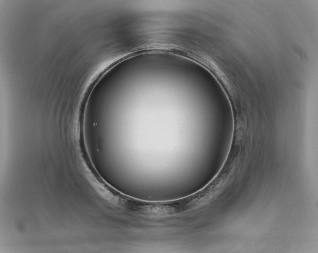 X0000110930795200906181428