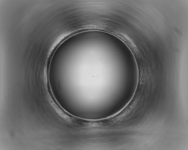 X0000110930796200906181428