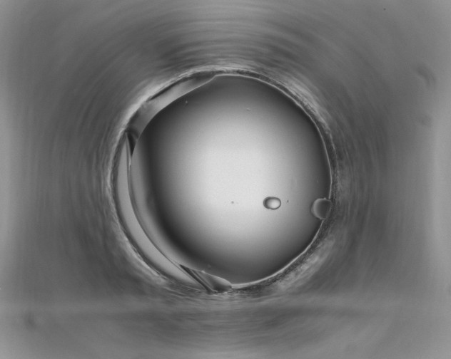 X0000110930797200906181428