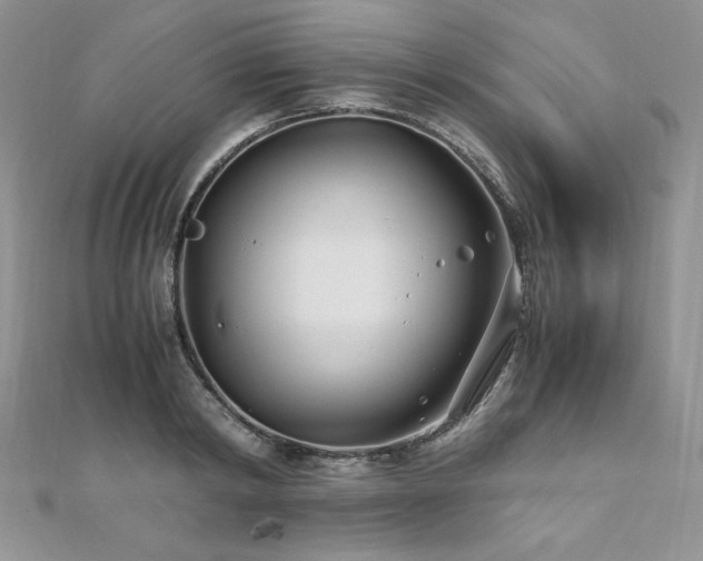 X0000110930798200906181428