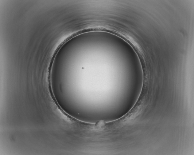 X0000110930799200906181428