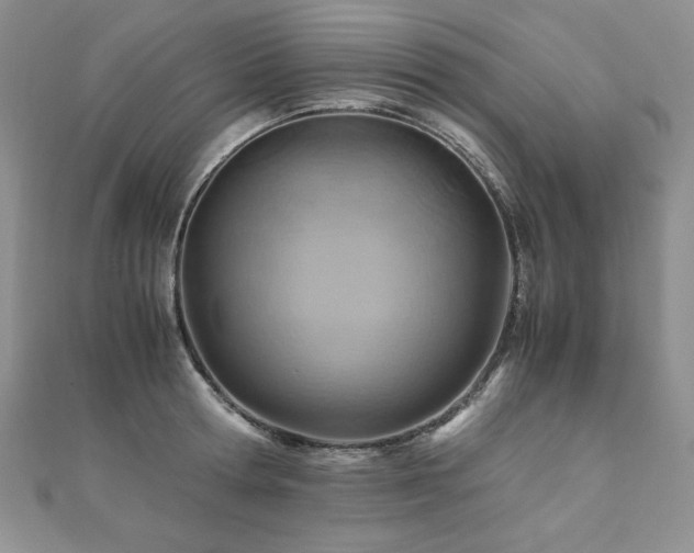 X0000110930802200906181428