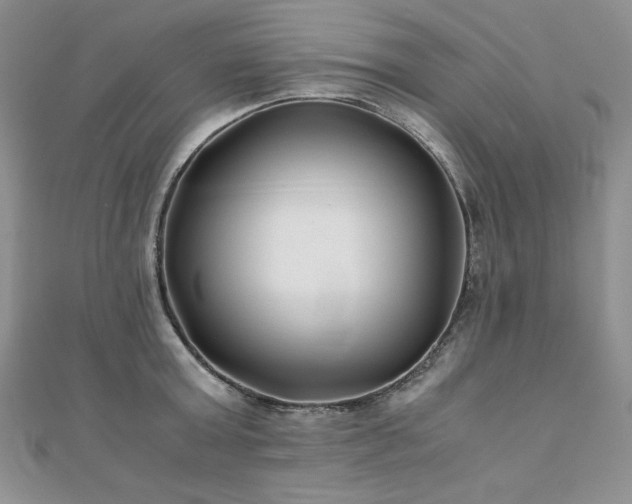 X0000110930803200906181428