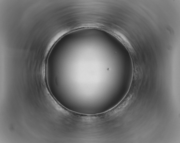 X0000110930804200906181428