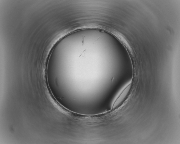 X0000110930805200906181428