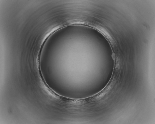 X0000110930806200906181428