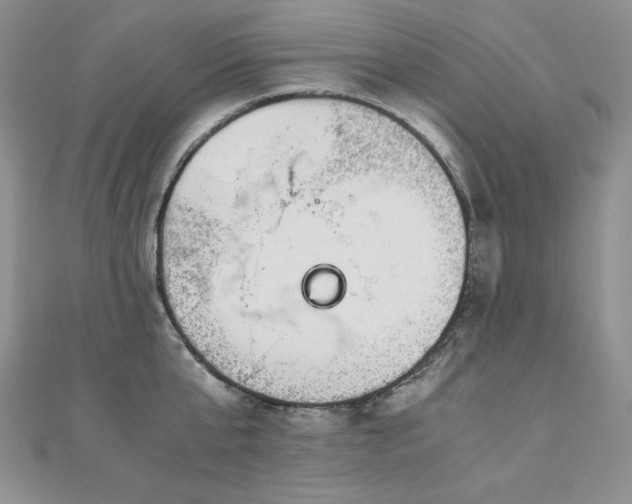 X0000110930807200906181428