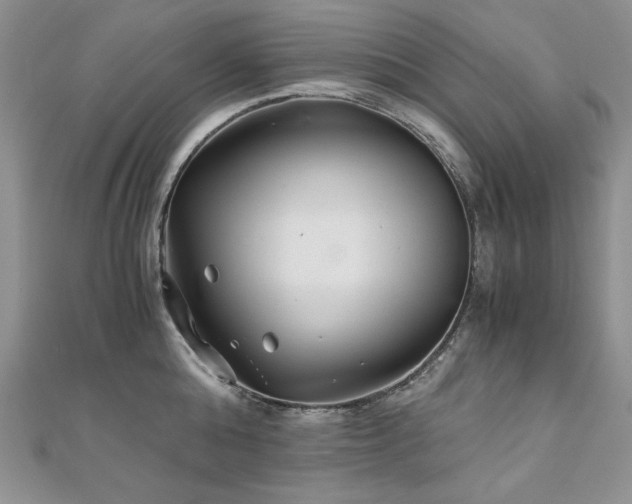 X0000110930808200906181428