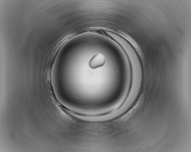 X0000110930809200906181427