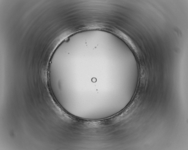 X0000110930810200906181427