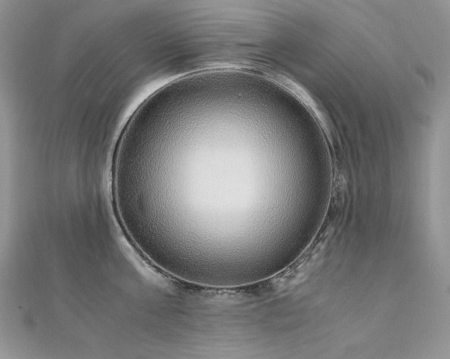 X0000110930811200906181427