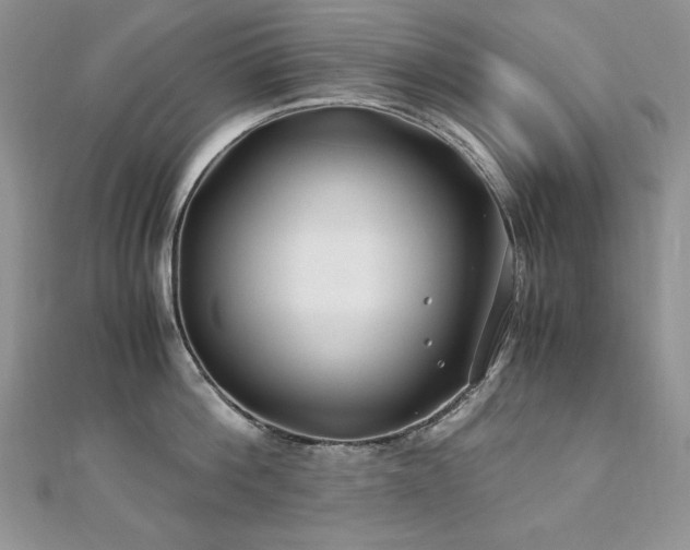 X0000110930812200906181427