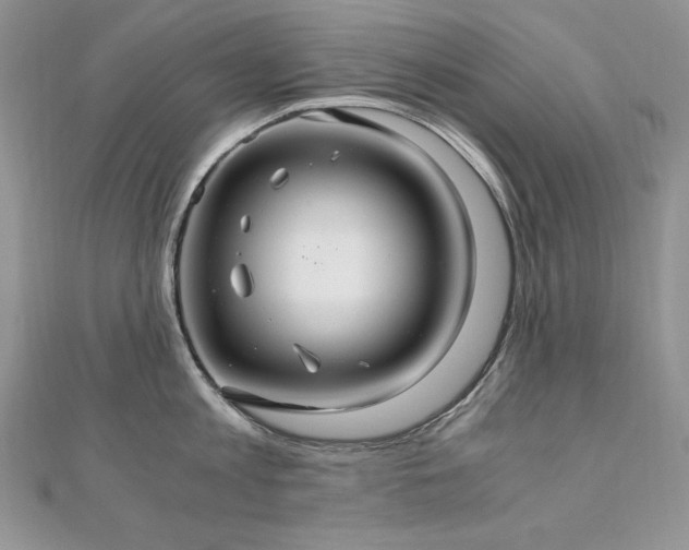 X0000110930813200906181427