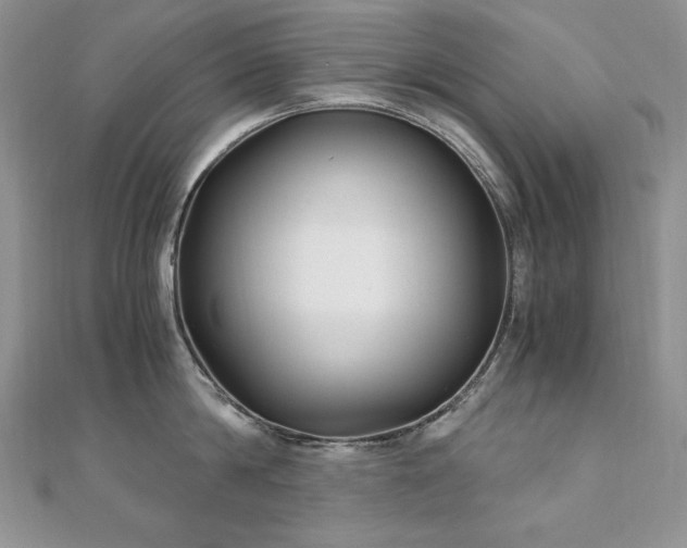 X0000110930814200906181427