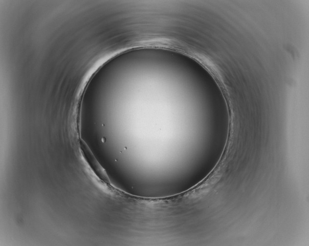 X0000110930816200906181427