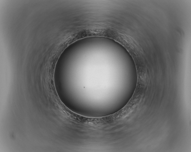 X0000110930817200906181427