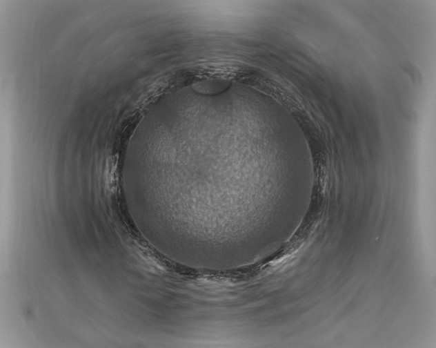 X0000110930818200906181427