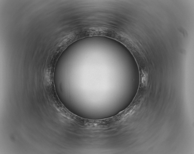 X0000110930819200906181427