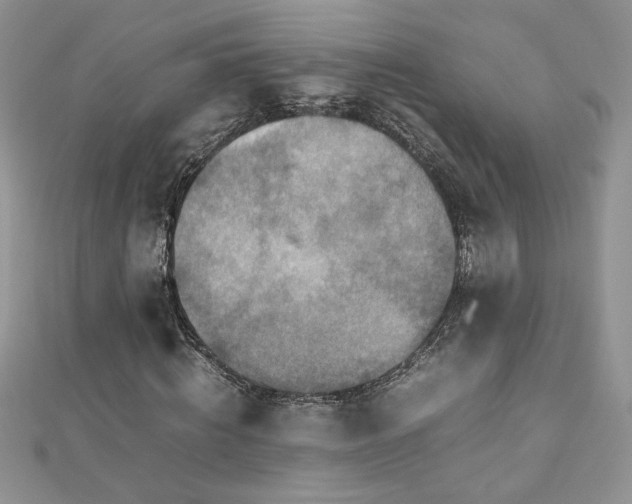 X0000110930820200906181427