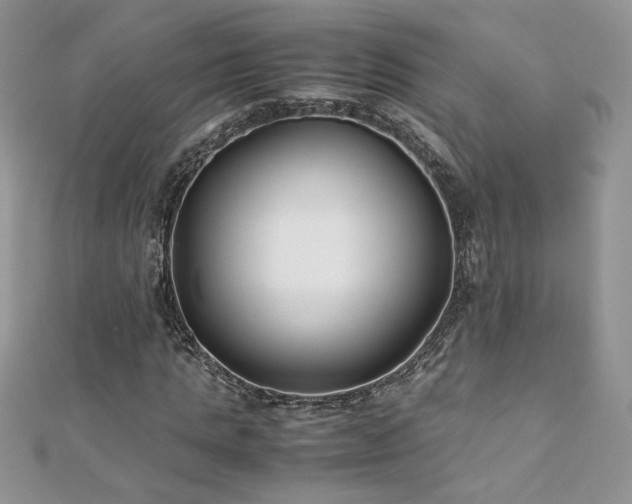 X0000110930821200906181427