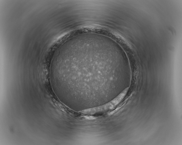 X0000110930822200906181427