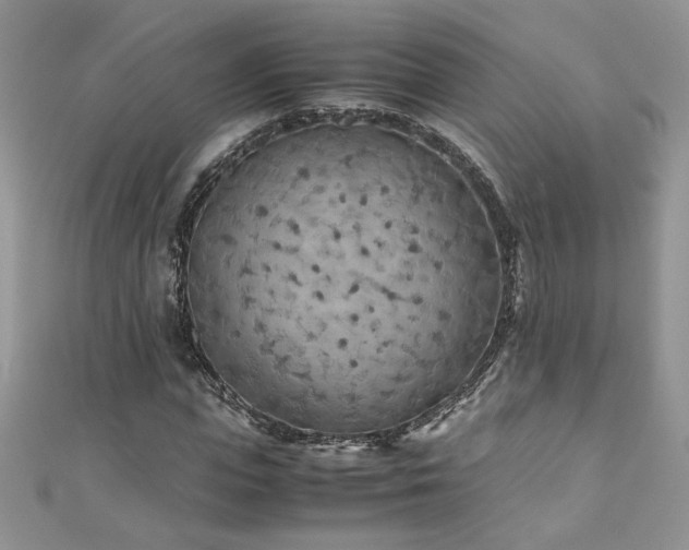 X0000110930823200906181427