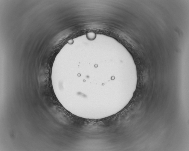 X0000110930824200906181427