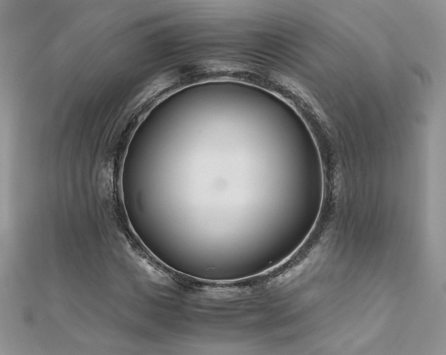 X0000110930825200906181427