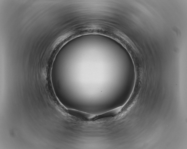 X0000110930826200906181427