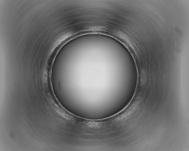 X0000110930827200906181427