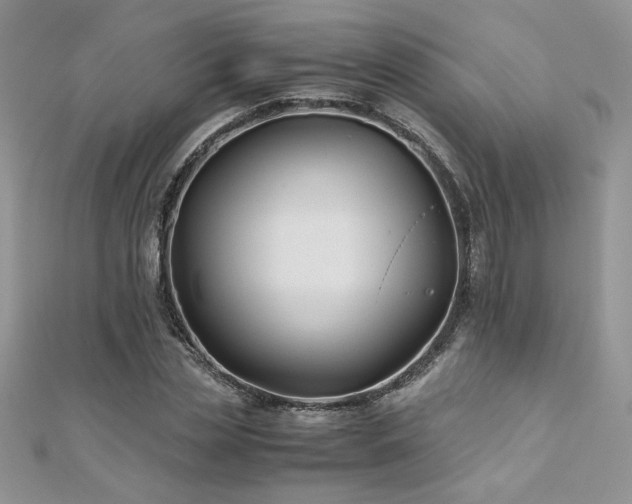 X0000110930829200906181427